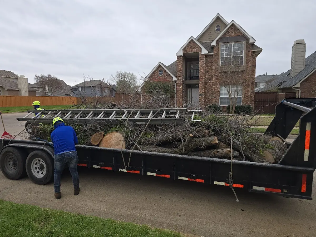Expert Tree Fertilization with proper safety equipment in Washington